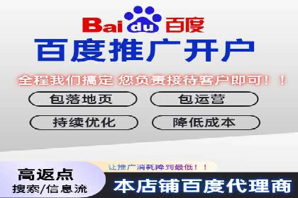 某行业SEM投放效果显著案例分享